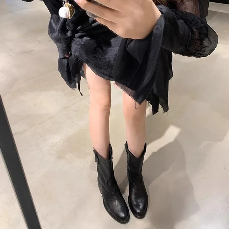 New Fashion Boots for Women Spring/Autumn Square Heel Female Mid-Calf Boots Ladies Slip-On Pointed Toe WESTERN Boots Women