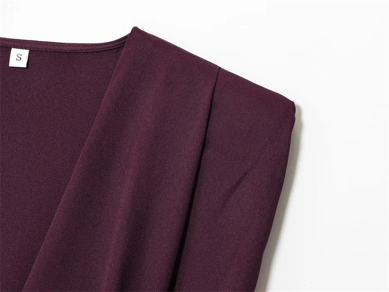 Women's Dress New Fall 2025 Purple Sleeveless Draped Dress Long Dress Elegant Personality Fashion