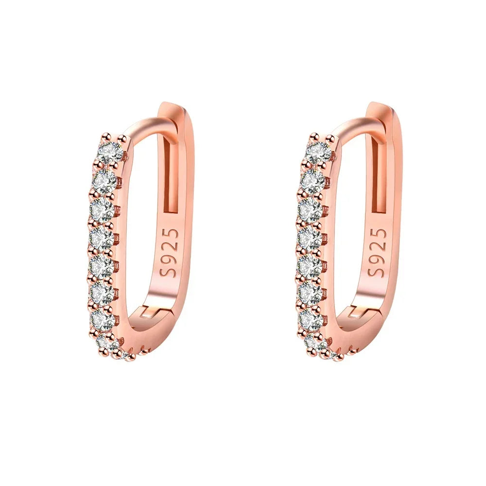 Fashion kpop 925 Sterling Silver luxury Crystal Jewelry Zircon Circle Hoop Earrings for Woman Lady Wedding Party Holiday Gifts