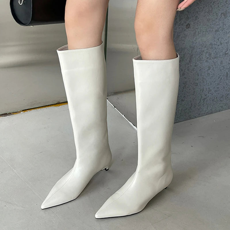 2025 Luxury Knee High Boots Women Wine Red Pointed Toe Kitten Heel Long Boots Wide Tube Bottes Santiags Femme Elegant Shoes