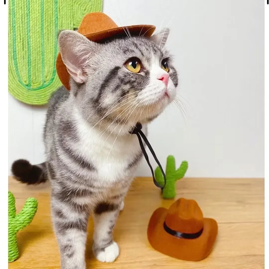 Fashion Cat Clothes Bat Wings Funny Dog Costume Artificial Wing Pet Cosplay Prop Halloween Christmas Cat Costume Pet Products