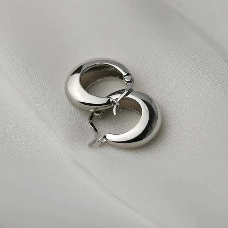 Sparkling Colorful Hoop Earrings 925 Sterling Silver Hypoallergenic Jewelry Embellished With Zircon Elegant Luxury Style Female