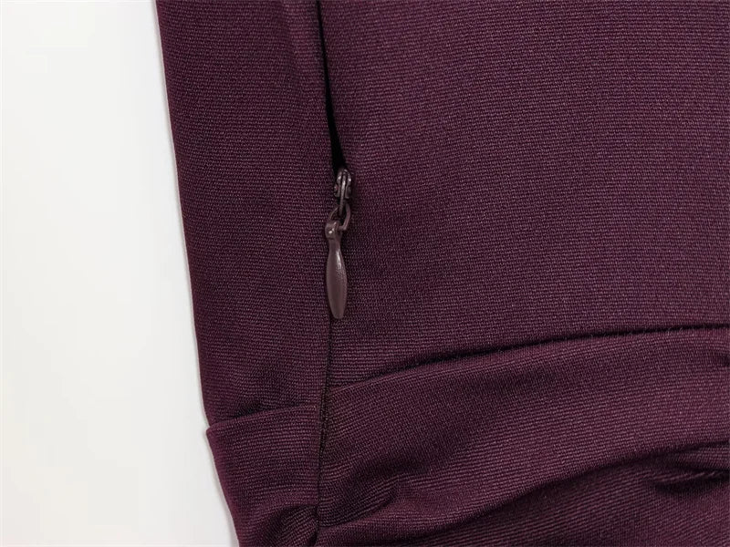 Women's Dress New Fall 2025 Purple Sleeveless Draped Dress Long Dress Elegant Personality Fashion
