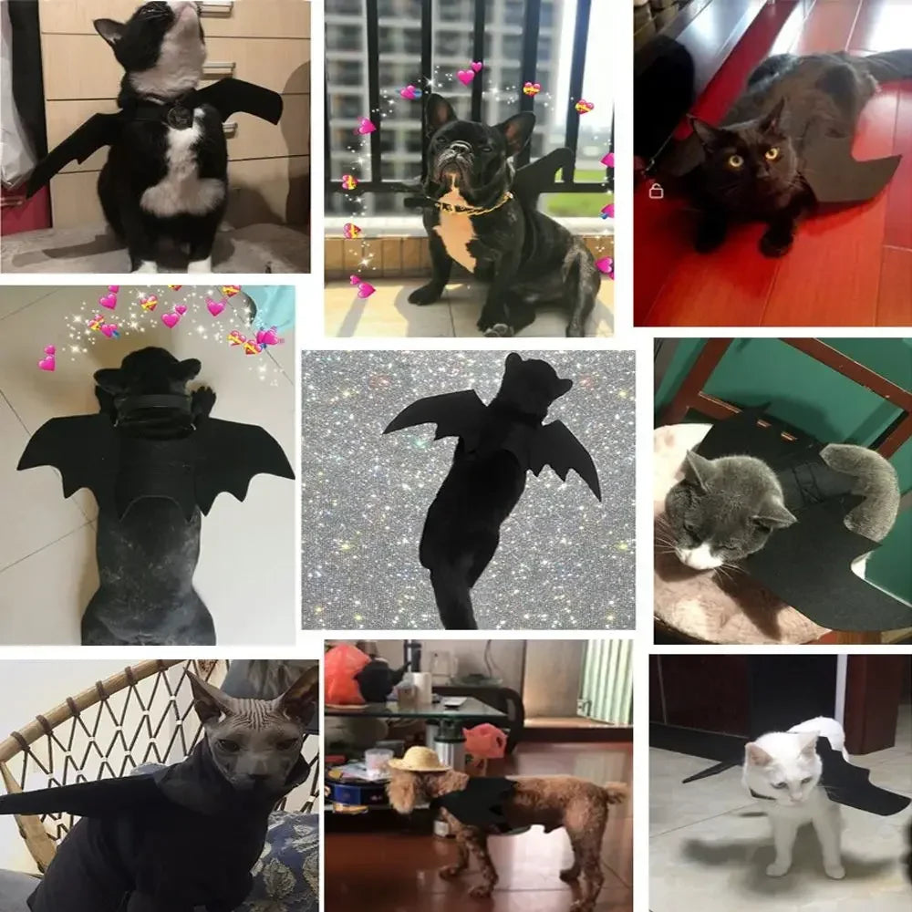 Fashion Cat Clothes Bat Wings Funny Dog Costume Artificial Wing Pet Cosplay Prop Halloween Christmas Cat Costume Pet Products