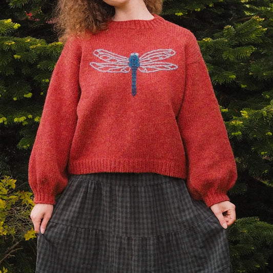 Harajuku women pullover sweater fashionable and chic dragonfly pattern daily casual retro aesthetic grunge Emo girl Y2K cute top