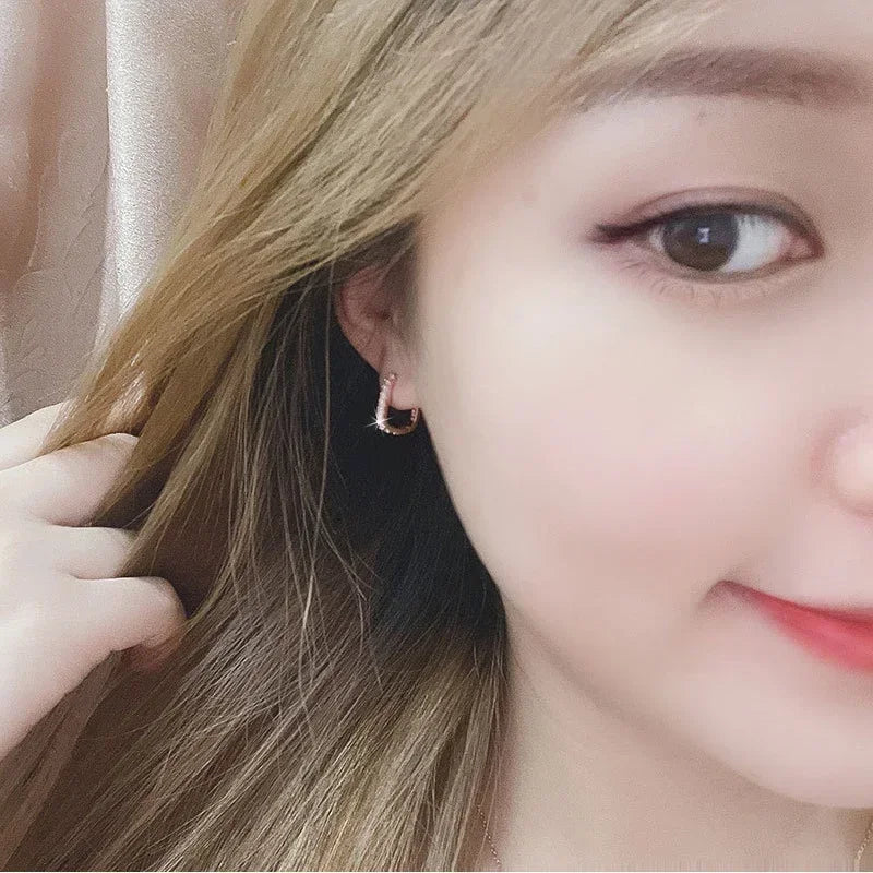 Fashion kpop 925 Sterling Silver luxury Crystal Jewelry Zircon Circle Hoop Earrings for Woman Lady Wedding Party Holiday Gifts